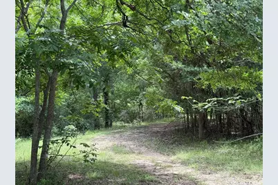 132 Quiet Oak Cove, Liberty Hill, TX 78642 - Photo 13