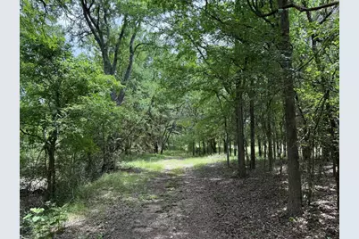 132 Quiet Oak Cove, Liberty Hill, TX 78642 - Photo 11