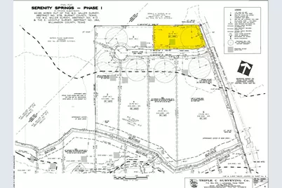 104 Scotty Lane, Liberty Hill, TX 78642 - Photo 5