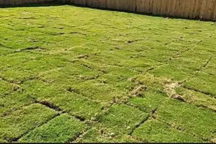 3012 Shore Lark, New Braunfels, TX 78130 - Photo 19