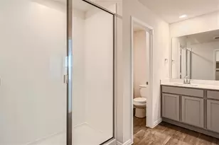 117 Alamo Vine Ct, Kyle, TX 78640 - Photo 13