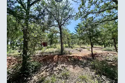 Tbd Edgewood Trail, Paige, TX 78659 - Photo 11
