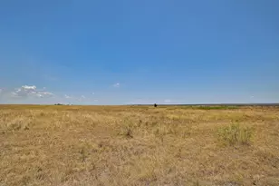 13212 Sandeen Rd, Manor, TX 78653 - Photo 15