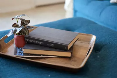 10024 Deer Chase Trail, Austin, TX 78747 - Photo 9