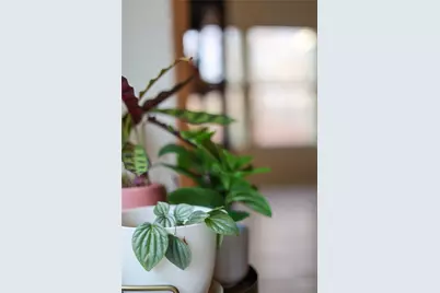 10024 Deer Chase Trail, Austin, TX 78747 - Photo 19