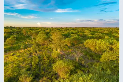 Tbd Guettermann-Ehler Road, La Grange, TX 78945 - Photo 11