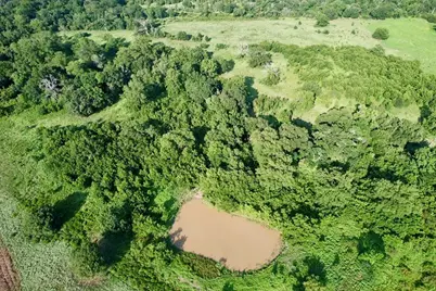 Tbd Hwy 77, Lexington, TX 78947 - Photo 7