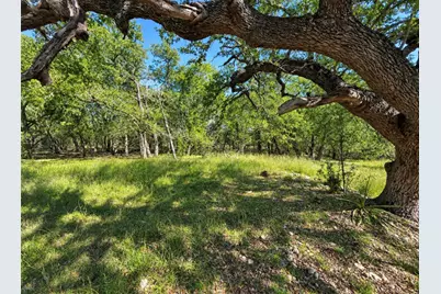 Tbd Carney Lane, Wimberley, TX 78676 - Photo 1