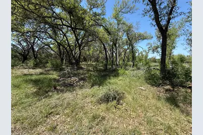 Lot 106 E Flying Owl Drive, Johnson City, TX 78636 - Photo 3