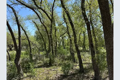 Lot 106 E Flying Owl Drive, Johnson City, TX 78636 - Photo 13