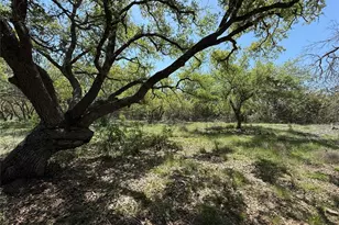 Lot 106 E Flying Owl Dr, Johnson City, TX 78636 - Photo 1