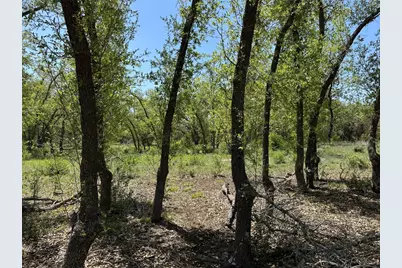 Lot 106 E Flying Owl Drive, Johnson City, TX 78636 - Photo 5