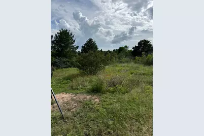 109 Pintail Lane, Paige, TX 78659 - Photo 3