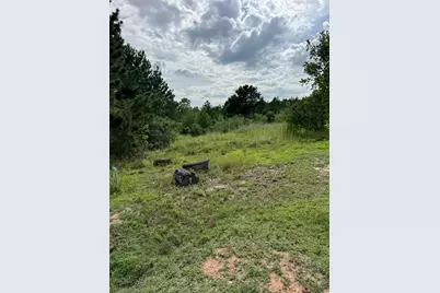 109 Pintail Lane, Paige, TX 78659 - Photo 1