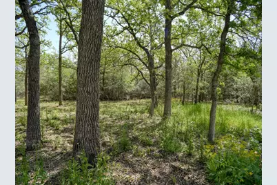 138 Wood Hollow Court, Bastrop, TX 78602 - Photo 39