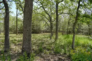 138 Wood Hollow Ct, Bastrop, TX 78602 - Photo 39