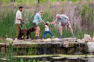 _ Gulch Valley Dr, Spicewood, TX 78669 - Photo 9