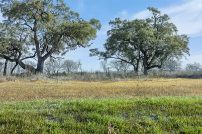 598 NW River Road, Martindale, TX 78655 - Photo 9