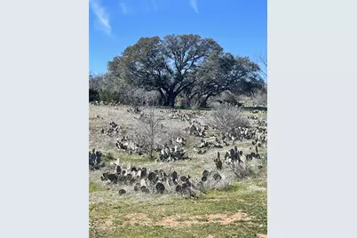 [Address not provided], San Saba, TX 76877 - Photo 3