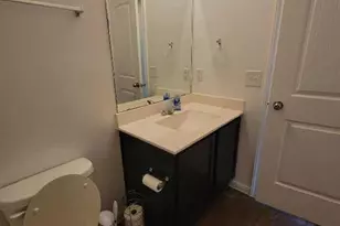 213 Camellia Dr, Hutto, TX 78634 - Photo 19