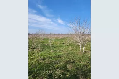 323 Cr 446, Gonzales, TX 78629 - Photo 25