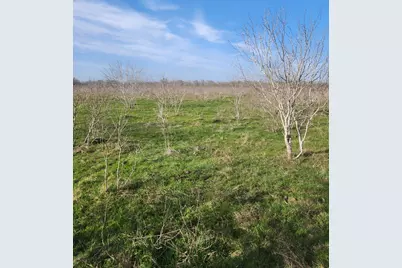 323 Cr 446, Gonzales, TX 78629 - Photo 27