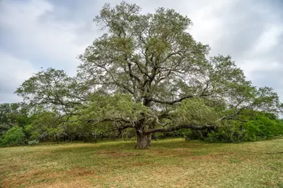 323 Cr 446, Gonzales, TX 78629 - Photo 29