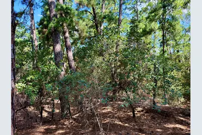 112, 114, 118 Kaimuki Court, Bastrop, TX 78602 - Photo 11