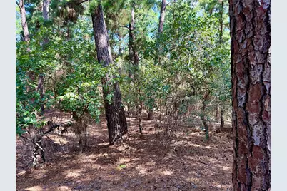 112, 114, 118 Kaimuki Court, Bastrop, TX 78602 - Photo 13