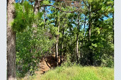 112, 114, 118 Kaimuki Court, Bastrop, TX 78602 - Photo 5