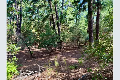 112, 114, 118 Kaimuki Court, Bastrop, TX 78602 - Photo 1