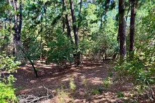 112 114 118 Kaimuki Ct, Bastrop, TX 78602 - Photo 1
