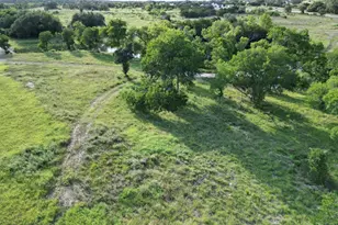 Lot 23 Serenity Dr, Bertram, TX 78605 - Photo 11
