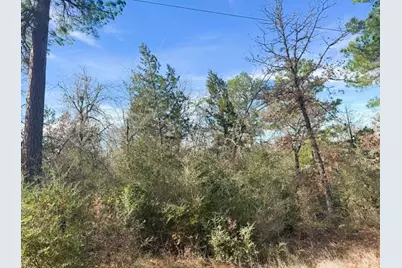 106 Olomana Court, Bastrop, TX 78602 - Photo 3