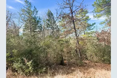 106 Olomana Court, Bastrop, TX 78602 - Photo 1