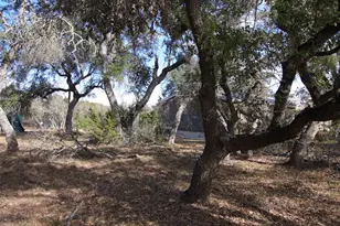 2023 Harmon Hills Rd, Dripping Springs, TX 78620 - Photo 21