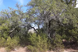 2023 Harmon Hills Rd, Dripping Springs, TX 78620 - Photo 5