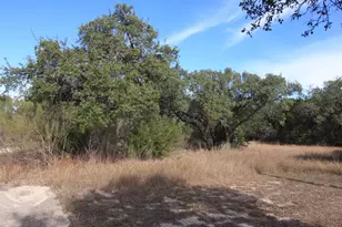 2023 Harmon Hills Rd, Dripping Springs, TX 78620 - Photo 15