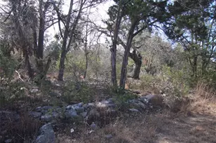 2023 Harmon Hills Rd, Dripping Springs, TX 78620 - Photo 39