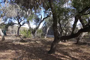 2023 Harmon Hills Rd, Dripping Springs, TX 78620 - Photo 29