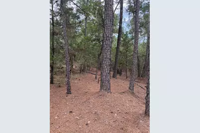 Lot 216 Hekili Drive, Bastrop, TX 78602 - Photo 9