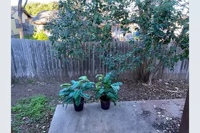 910 Milford Way #B, Austin, TX 78745 - Photo 23