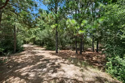 186 Hook Em Horns Drive, Paige, TX 78659 - Photo 19