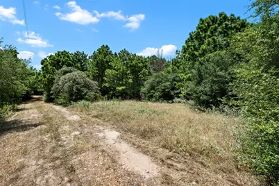 186 Hook Em Horns Drive, Paige, TX 78659 - Photo 15