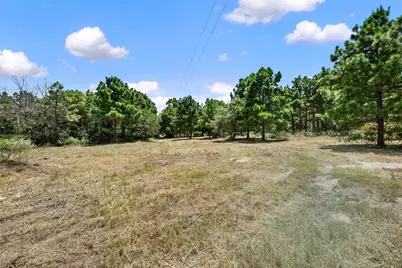186 Hook Em Horns Drive, Paige, TX 78659 - Photo 37