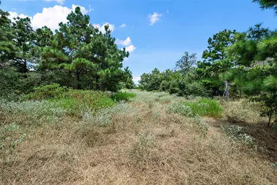 186 Hook Em Horns Drive, Paige, TX 78659 - Photo 31