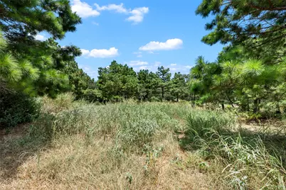 186 Hook Em Horns Drive, Paige, TX 78659 - Photo 29