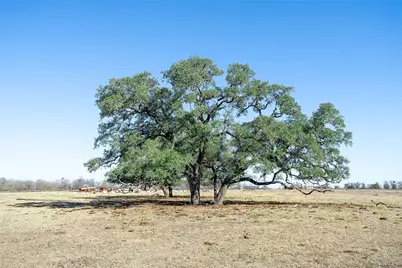 Tbd Richards Drive, Del Valle, TX 78617 - Photo 29