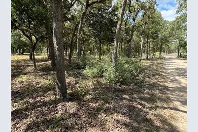 [lot 2] 000 Jordan Lane, Elgin, TX 78621 - Photo 3