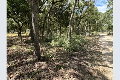 [lot 2] 000 Jordan Lane, Elgin, TX 78621 - Photo 3